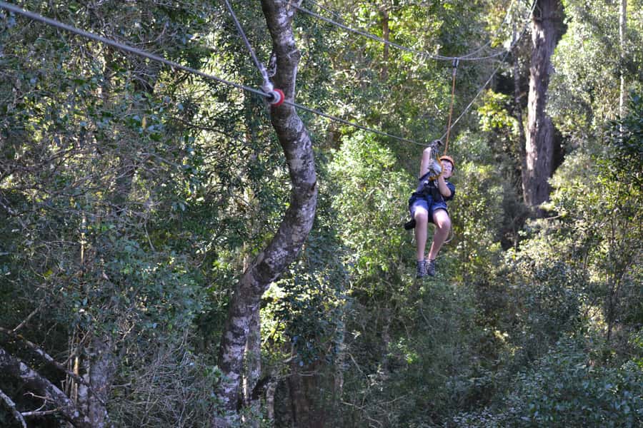 Storms River: Tsitsikamma National Park Zipline Canopy Tour - The forest lessons are more than filler