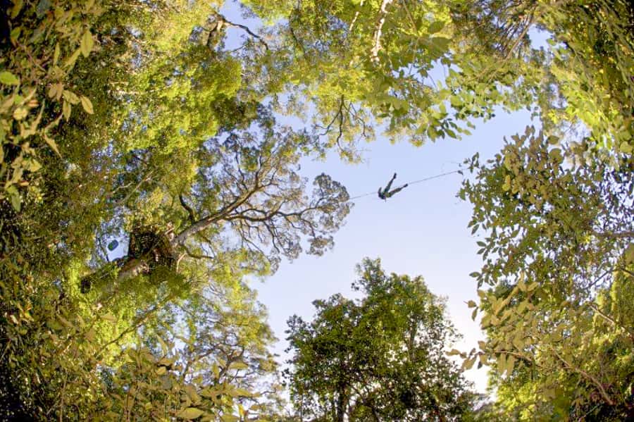 Storms River: Tsitsikamma National Park Zipline Canopy Tour - Who will enjoy this most?