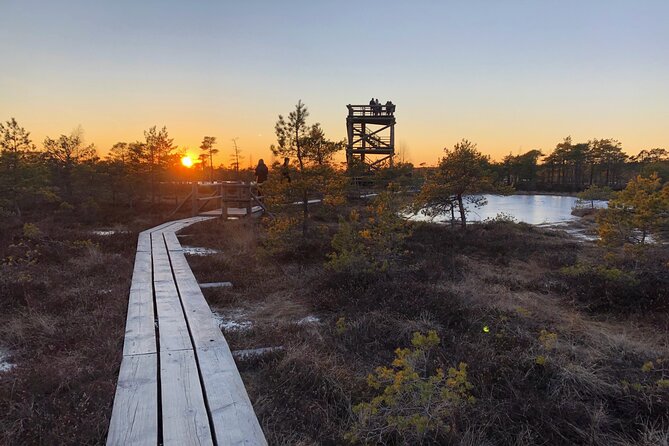 Sunset at Kemeri National Park - Key things to know before you book