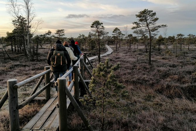 Sunset at Kemeri National Park - From Riga to Latvia’s great bog