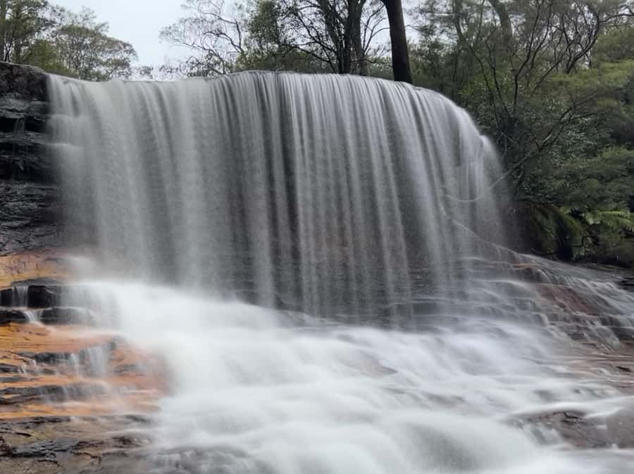 Sydney: Blue Mountains National Park Tour with River Cruise - Key things to know before you book