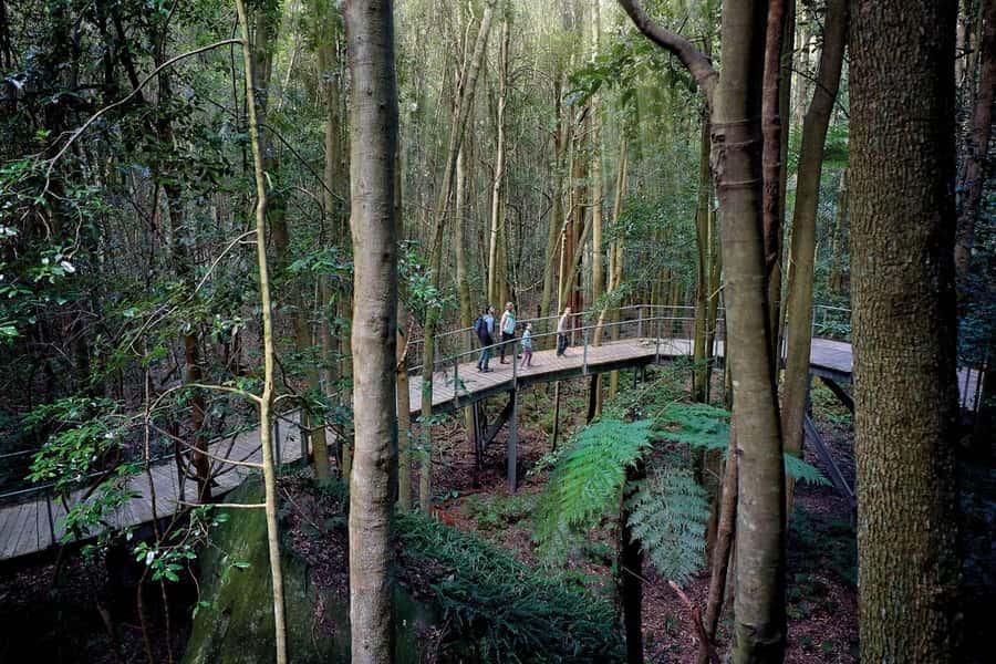Sydney: Blue Mountains National Park Tour with River Cruise - Walking to Wentworth Falls or Katoomba Falls