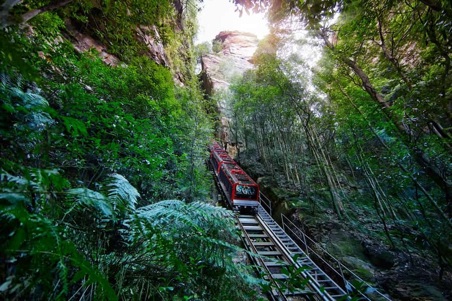Sydney: Blue Mountains National Park Tour with River Cruise - Scenic World: the best extra for many people