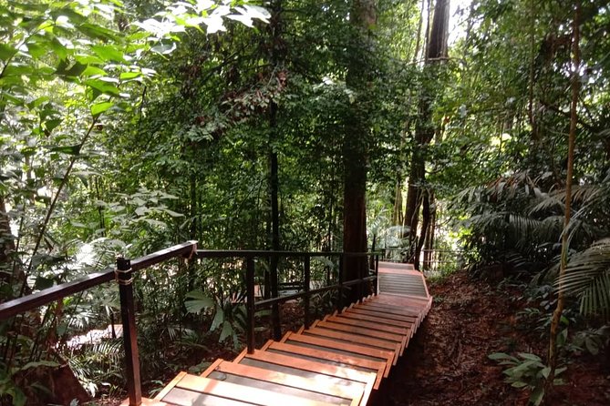 Taman Negara National Park Day Tour (SIC - Join In Tour) - Why this day trip works from Kuala Lumpur