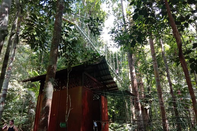 Taman Negara National Park Day Tour (SIC - Join In Tour) - The Teresek Hill jungle walk