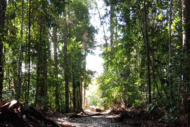 Taman Negara National Park Day Tour (SIC - Join In Tour) - The long ride to Kuala Tahan