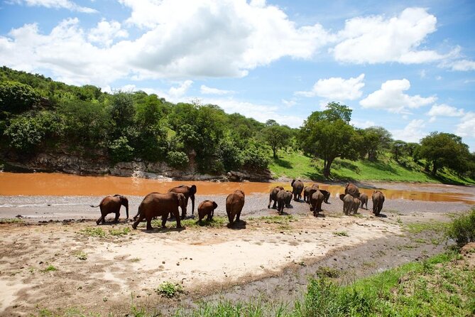 Tarangire National Park: Guided Day Tour from Arusha - Key Points Before You Book