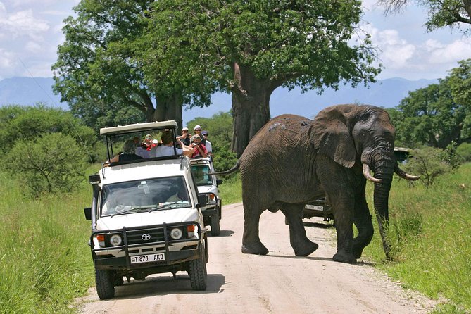 Tarangire National Park: Guided Day Tour from Arusha - The Road from Arusha to Tarangire