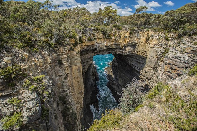 Tasman Peninsula Wilderness Cruise from Port Arthur - What the boat ride actually feels like