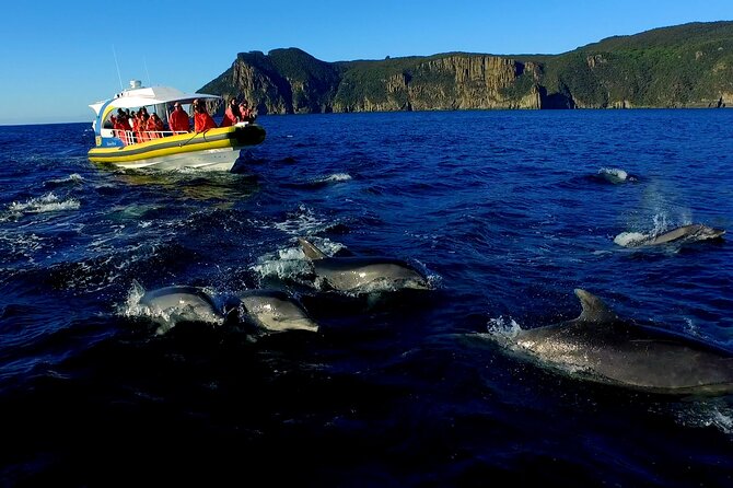 Tasman Peninsula Wilderness Cruise from Port Arthur - Is the $129.10 price good value?
