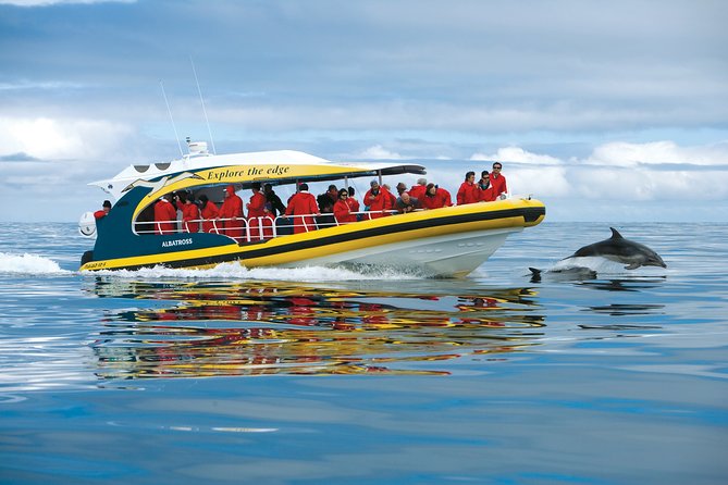 Tasman Peninsula Wilderness Cruise from Port Arthur - Tasman Island, lighthouse, and giant sea cliffs