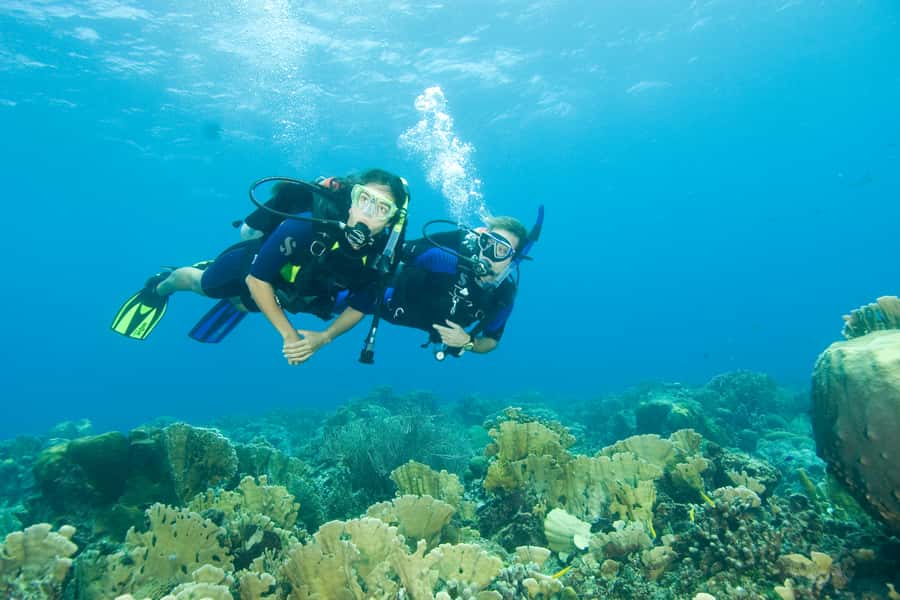 Tayrona National Park: Scuba Diving Tour for Beginners - What is included in the $138 price