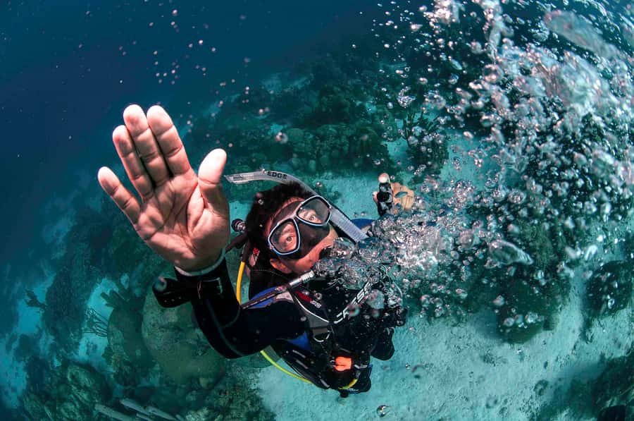 Tayrona National Park: Scuba Diving Tour for Beginners - Small details that make the day easier