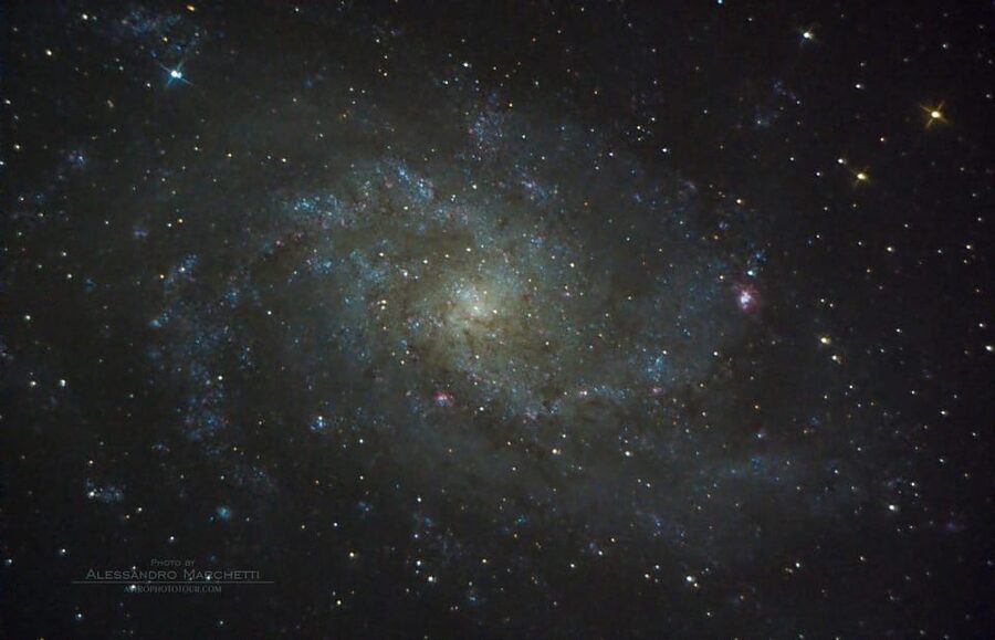 Teide National Park: Guided Large Telescope Stargazing Tour - Who will enjoy this most?