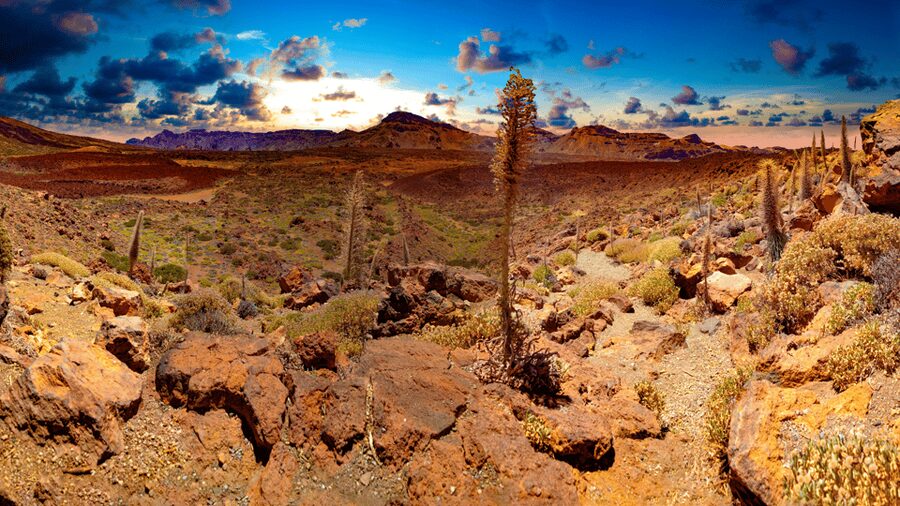 Teide National Park: Landscapes and Viewpoints Private Tour - Key points to know before booking
