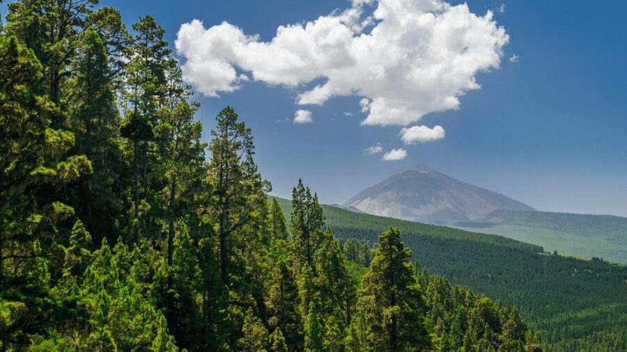 Teide National Park: Landscapes and Viewpoints Private Tour - A private day with a useful human touch