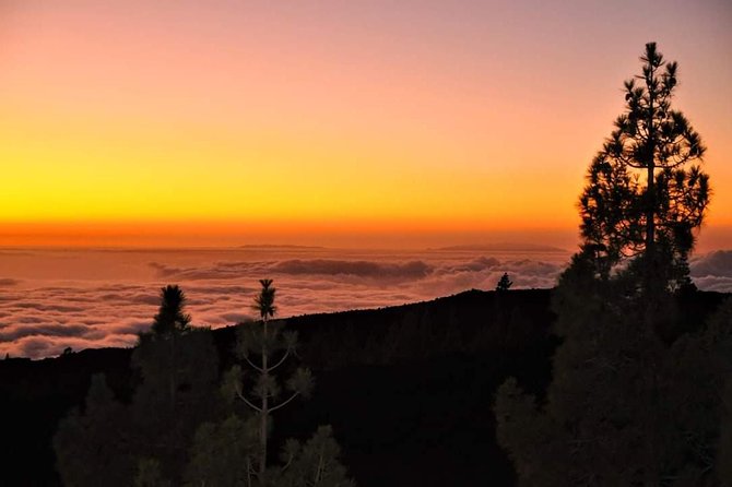 Teide National Park Sunset & Stargazing with Dinner (Star Safari) - Who will enjoy this evening most?