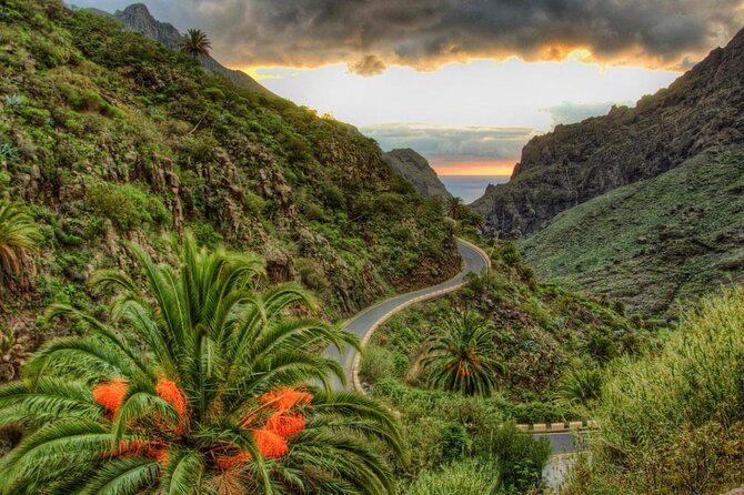 Tenerife Grand Tour: including Teide National Park and Masca - Key Points to Know Before You Book