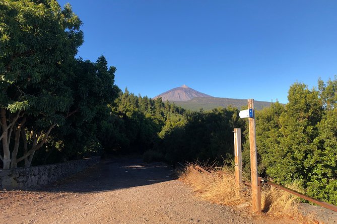 Tenerife Grand Tour: including Teide National Park and Masca - Why This Tour Works for a First Look at Tenerife