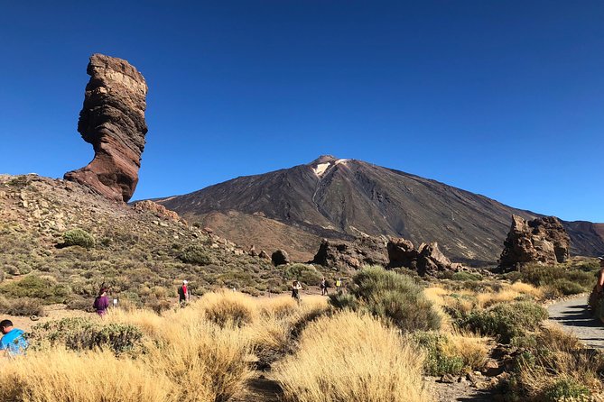 Tenerife Grand Tour: including Teide National Park and Masca - Icod de los Vinos and the Drago Milenario