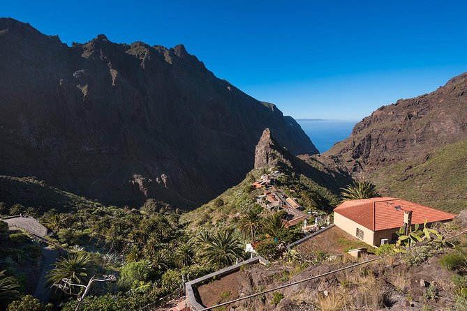 Tenerife Grand Tour: including Teide National Park and Masca - The Bus, Guides, and Pace of the Day