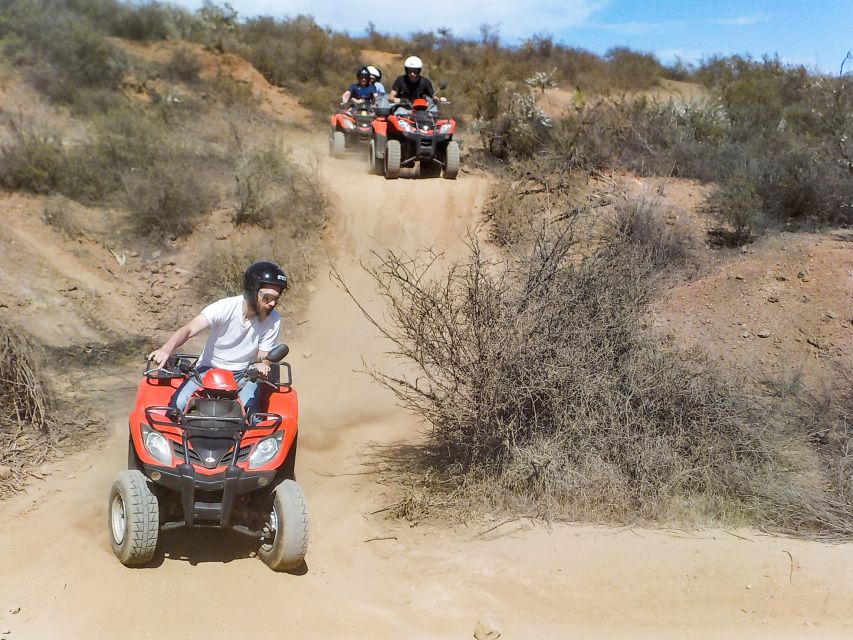 Tenerife: Quad Adventure Tour in Teide National Park - My practical verdict