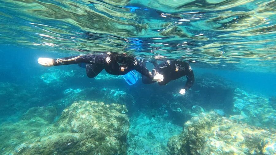 Tenerife: Snorkeling Tour in a Marine Protected Area - Key points to know before booking
