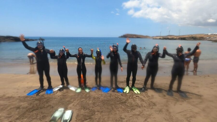 Tenerife: Snorkeling Tour in a Marine Protected Area - The marine life you might see