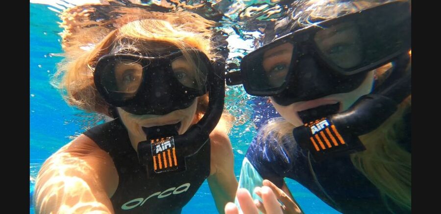 Tenerife: Snorkeling Tour in a Marine Protected Area - What happens before you enter the water