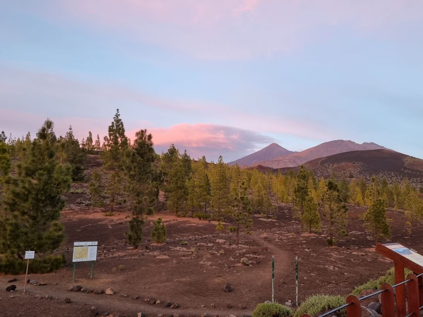 Tenerife: Sunset and Stargazing at Teide National Park - VIP pickup or self-drive?