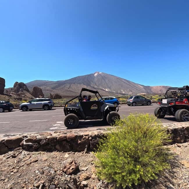 Tenerife: Teide National Park and Volcano Buggy Tour - Who should book this Teide outing?