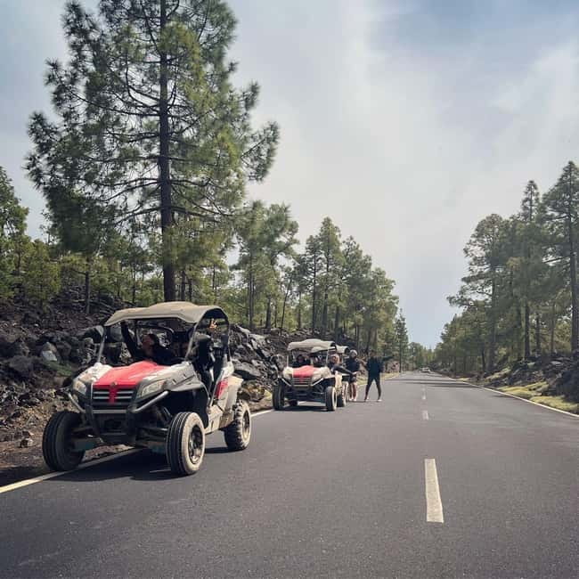 Tenerife: Teide National Park and Volcano Buggy Tour - From Guia de Isora toward Teide