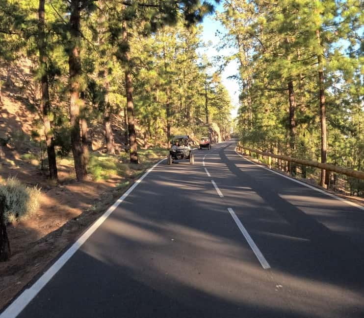 Tenerife: Teide National Park and Volcano Buggy Tour - Roques de García, the tour’s strongest stop