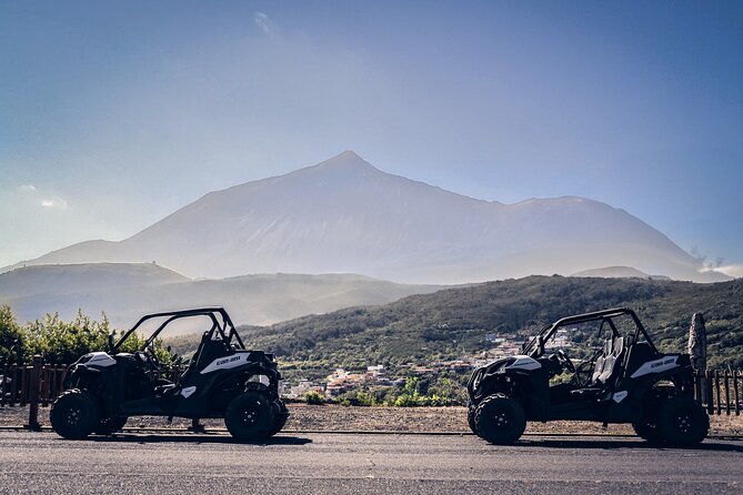 Tenerife: Teide National Park Buggy Tour with Hotel Transfer - From your hotel to Tamaimo