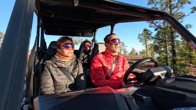 Tenerife: Teide National Park Guided Buggy Tour - Who should book this buggy tour?