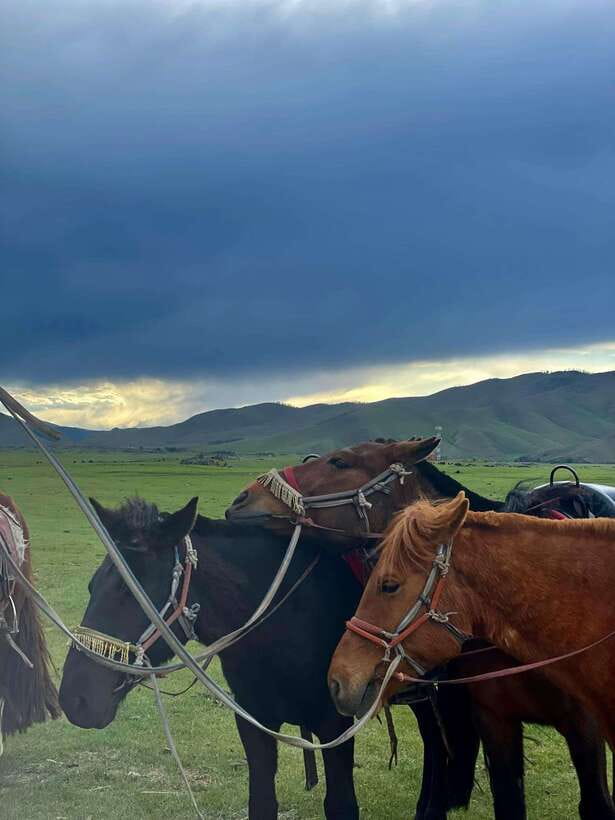 Terelj national park transport /Best price tour - Meeting at Ulaanbaatar Department Store