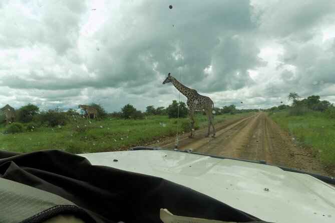 The Amaizing Private Day Trip to the lovely Arusha National Park - Why Arusha National Park works as a day safari