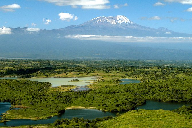 The Amaizing Private Day Trip to the lovely Arusha National Park - The game drive: giraffes, zebras, and changing scenery