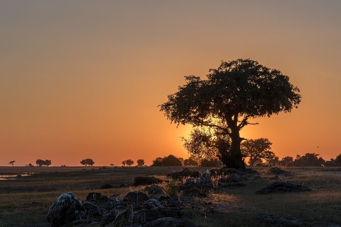 The Mosi oa Tunya National Park Game Drive - Picnic lunch and a slower half-hour