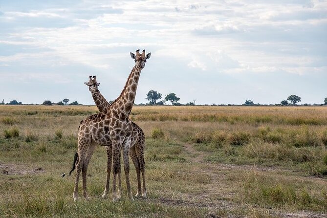 The Mosi oa Tunya National Park Game Drive - A second look at the park after lunch