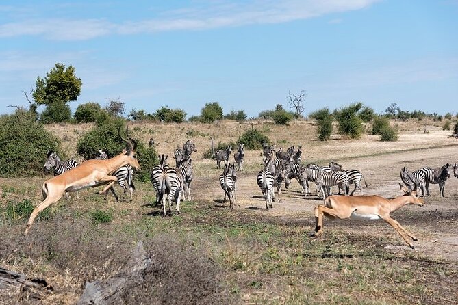 The Mosi oa Tunya National Park Game Drive - Along the Zambezi River