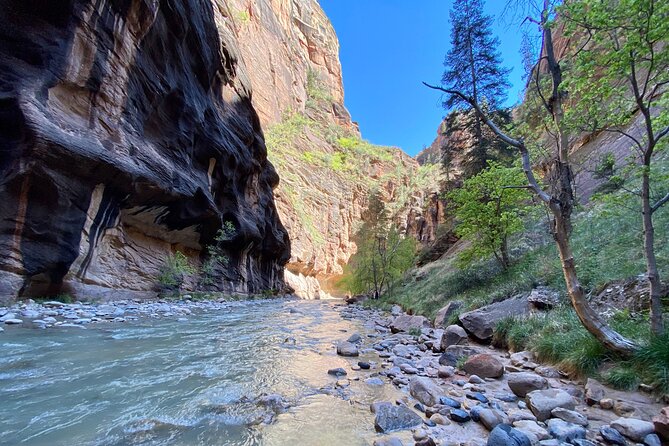 The Narrows: Zion National Park Private Guided Hike - A charcuterie picnic in Zion Lodge country