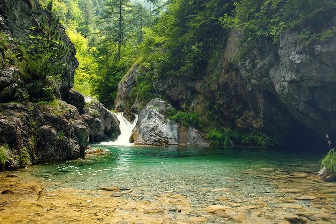 Thessaloniki: Bus Trip to Dion & Mt Olympus National Park - Practical advice for a smoother day