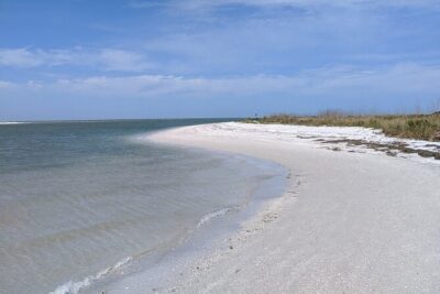 Three Hour Shelling Cruise to Shell Key Preserve from John’s Pass