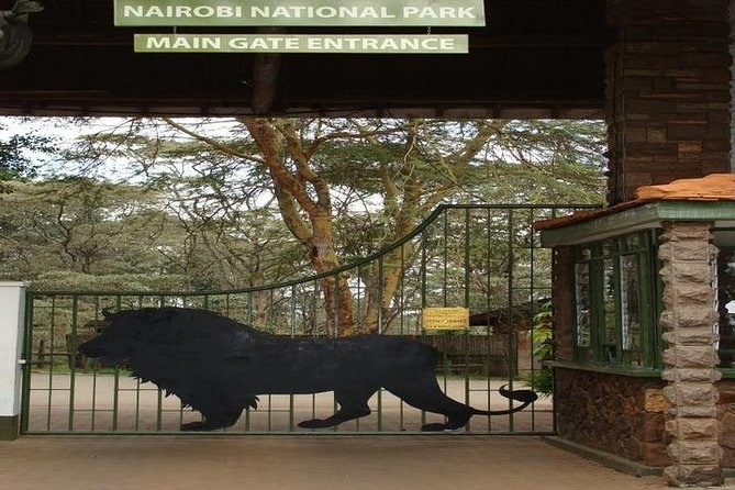 Tour: Giraffe Center and Nairobi National Park - Is $176 per person a fair price?
