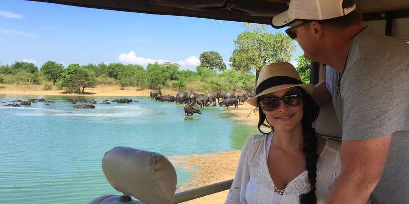 Udawalawe: National Park Safari & Elephant Transit Home Tour - What the four-hour Udawalawe plan looks like