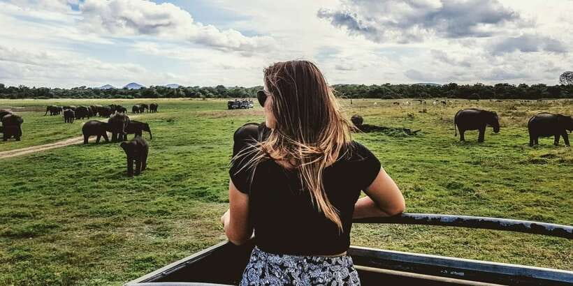 Udawalawe: National Park Safari & Elephant Transit Home Tour - Why the driver-guide matters