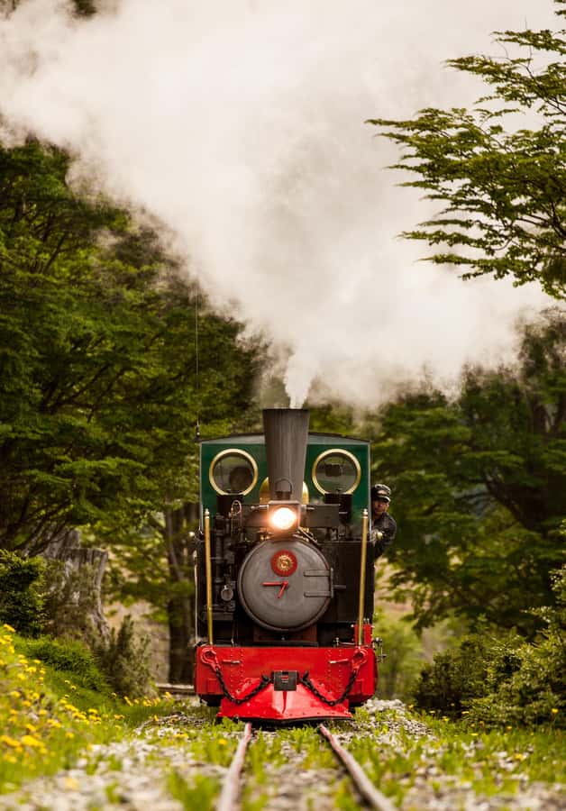 Ushuaia: National Park, Train, and Beagle Channel Navigation - Isla Martillo and the penguin question