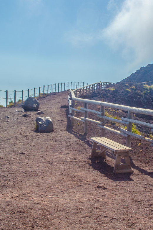 Vesuvius National Park Skip-The-Line Ticket and Audio Guide - The essential points at a glance