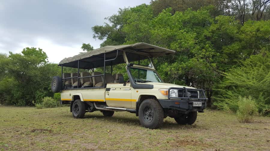 Victoria Falls: Chobe National Park Day Trip with Lunch - The guides and the handoffs